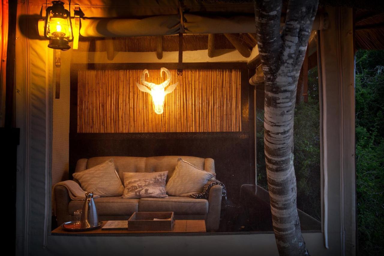 Safari Lodge - Amakhala Game Reserve Eksteriør bilde