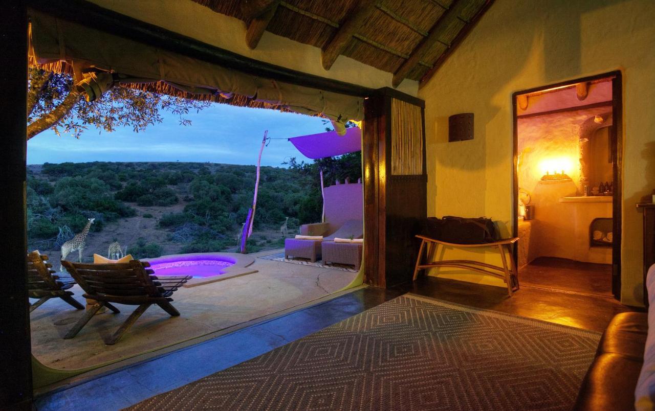 Safari Lodge - Amakhala Game Reserve Eksteriør bilde