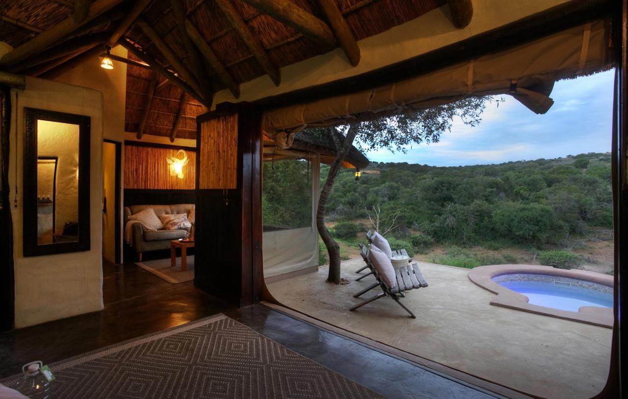 Safari Lodge - Amakhala Game Reserve Eksteriør bilde