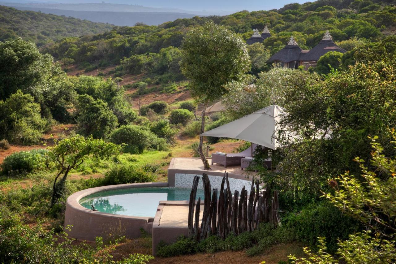 Safari Lodge - Amakhala Game Reserve Eksteriør bilde