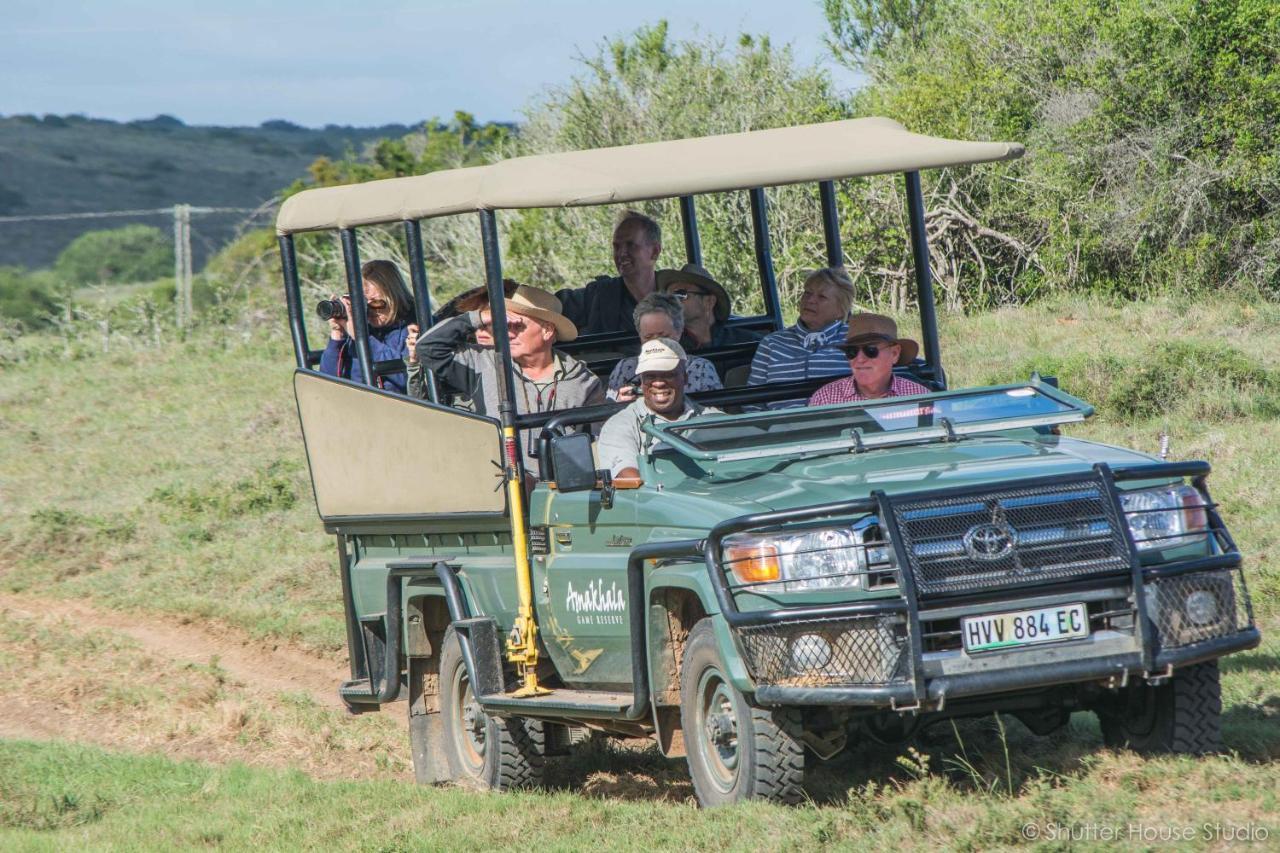 Safari Lodge - Amakhala Game Reserve Eksteriør bilde