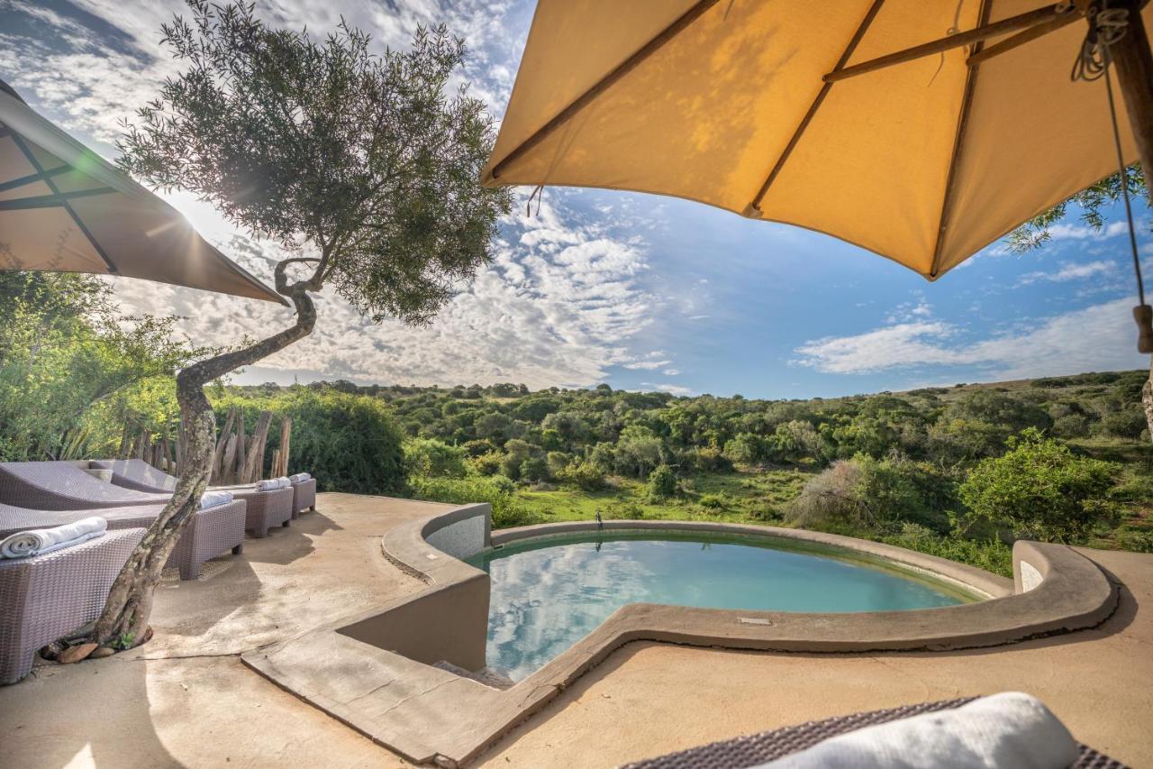 Safari Lodge - Amakhala Game Reserve Eksteriør bilde