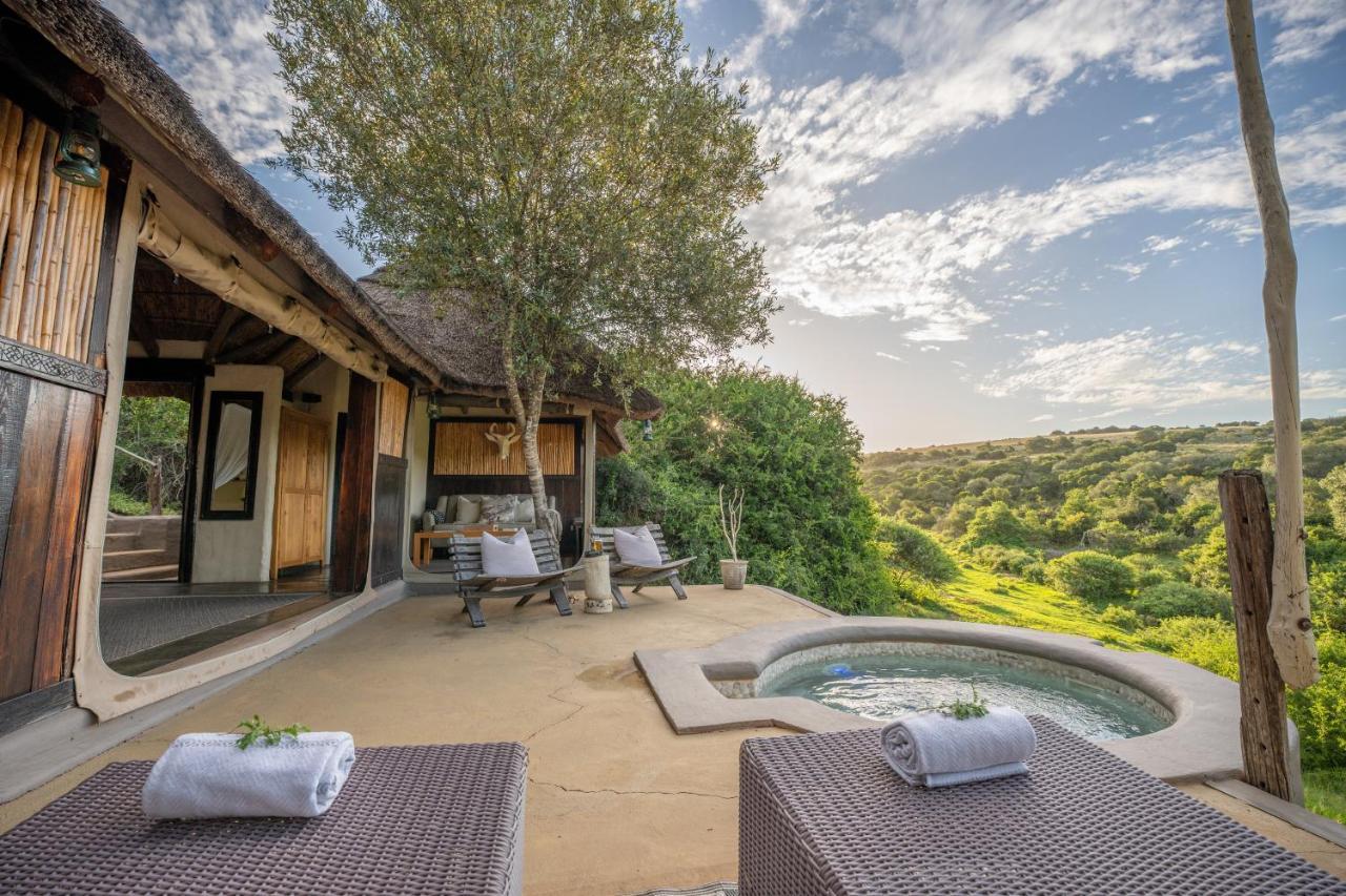 Safari Lodge - Amakhala Game Reserve Eksteriør bilde