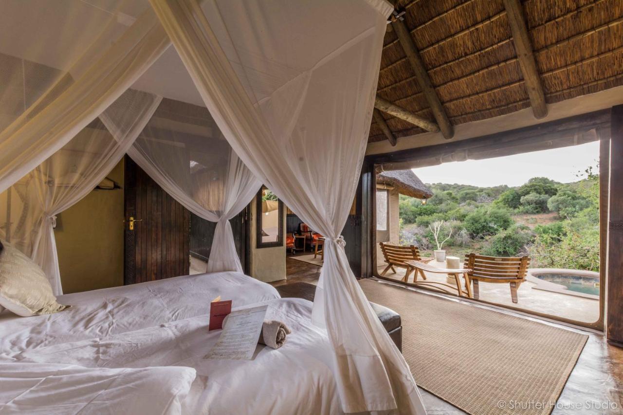 Safari Lodge - Amakhala Game Reserve Eksteriør bilde